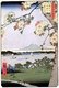 Japan: Spring: The Grove at the Suijin Shrine and Massaki on the Sumida River (隅田川水神の森真崎). Image 35 of '100 Famous Views of Edo'. Utagawa Hiroshige (first published 1856–59)